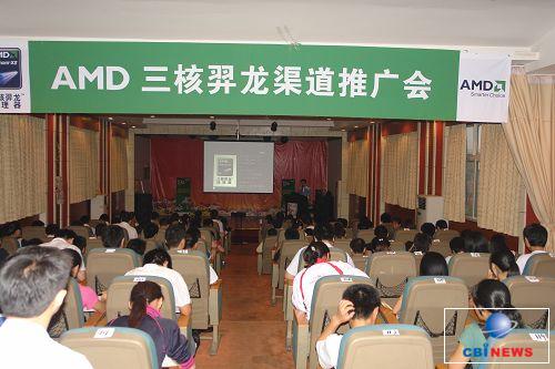 amd3