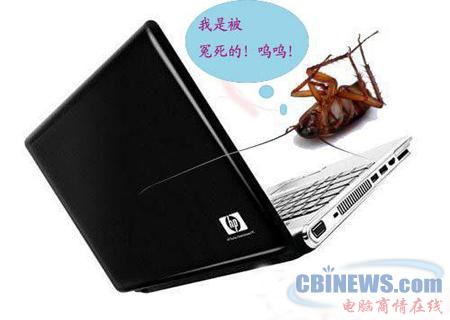 小强“爱”惠普 