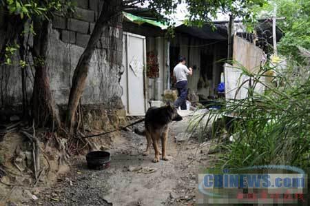 大隐于市的集装箱住所
