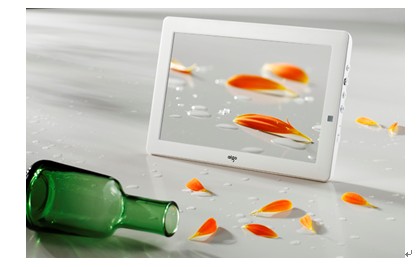 十一出游hodl住!电影本专注看电影胜pad